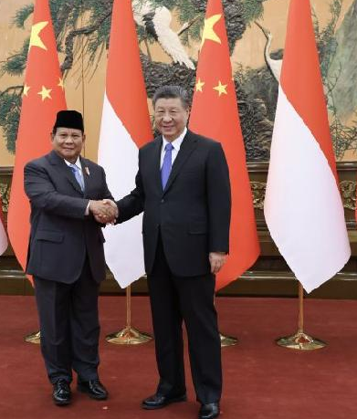 Proyek Giant Sea Wall Prabowo Xi Jinping